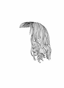 Drawing of a haircut without a face by Amy Pennington