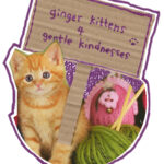 ginger kittens 4 gentle kindnesses
